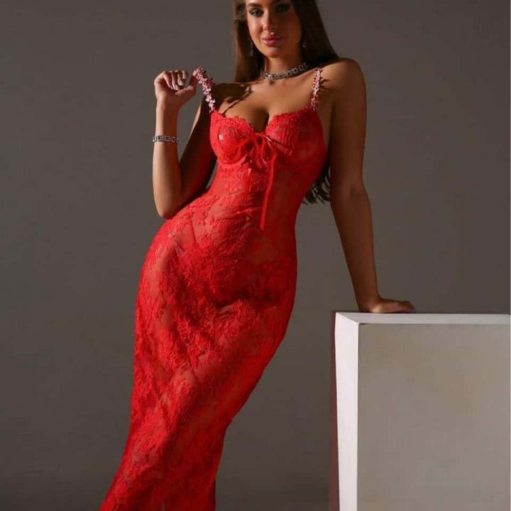 Elvaris Sheer Lace Maxi Slip Dress